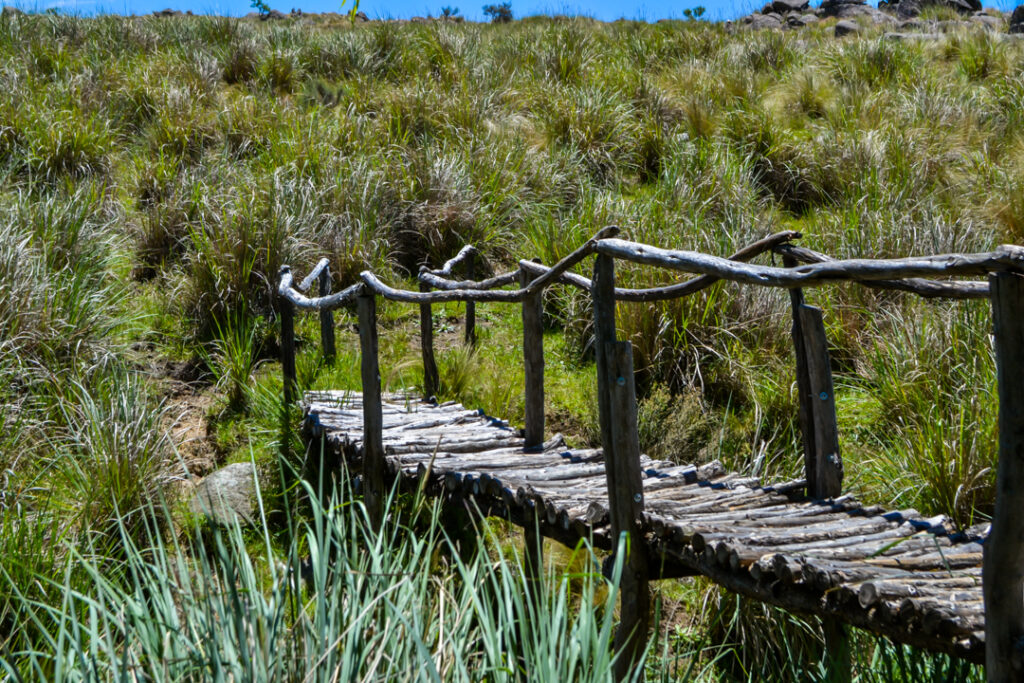 Los Prados Puesto Rural