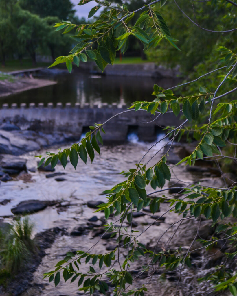 Río de los Sauces