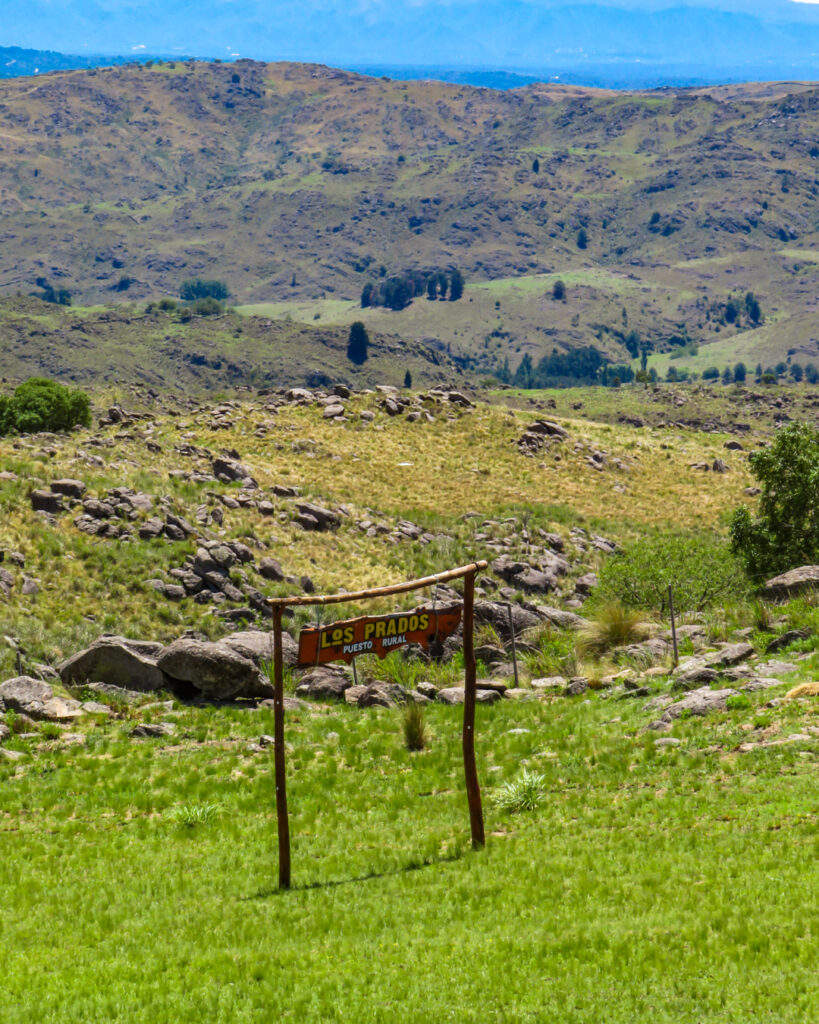 los padros puesto rural