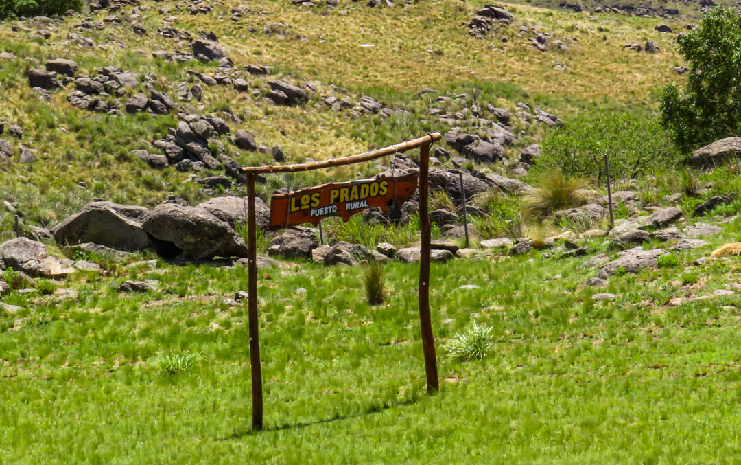 los padros puesto rural