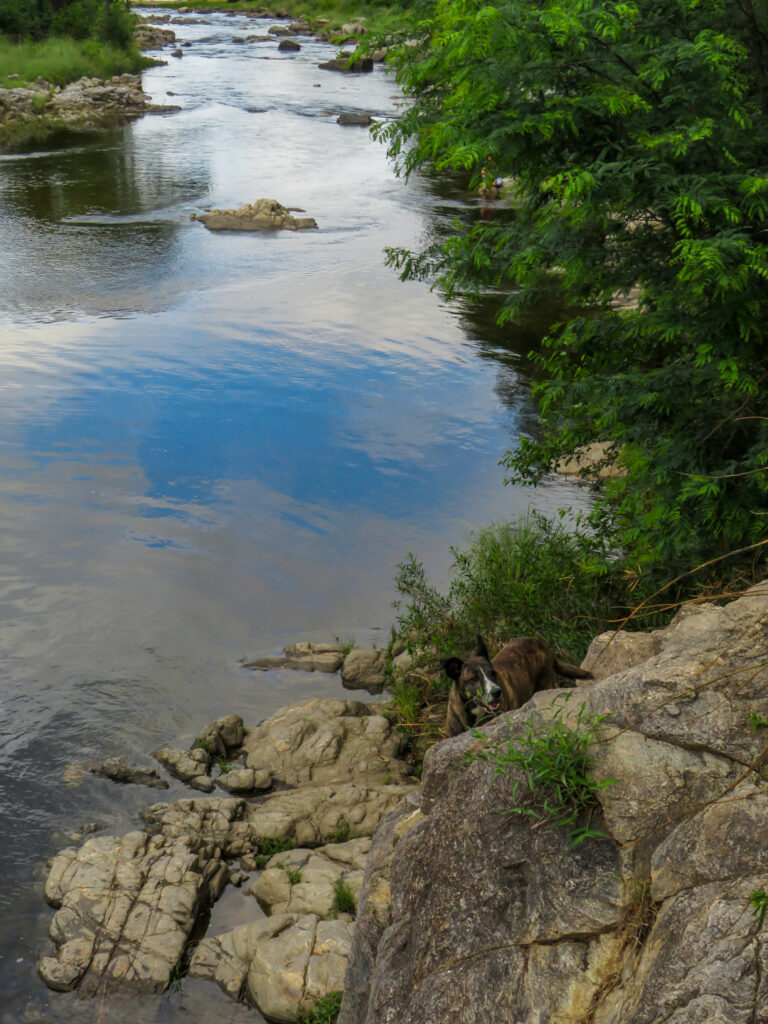 Santa Rosa de Calamuchita