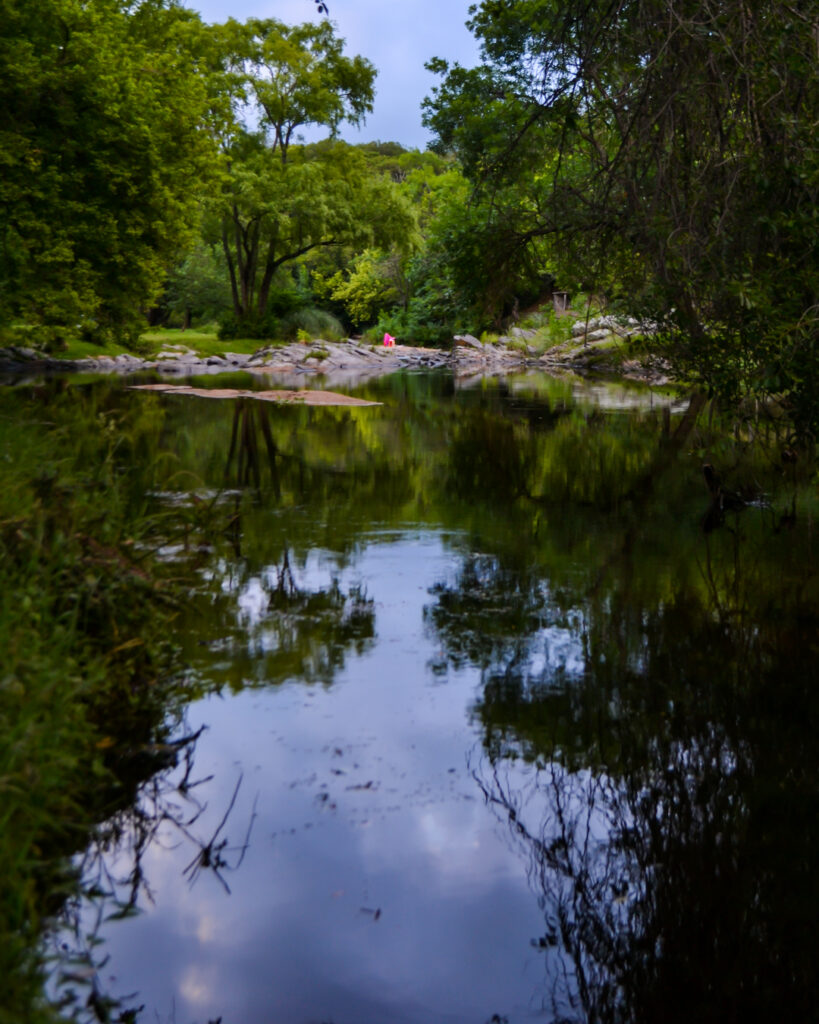 Río de los Sauces