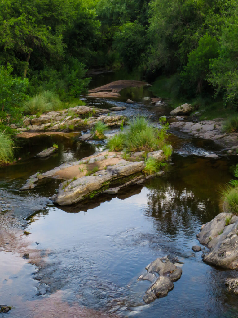 Río de los Sauces