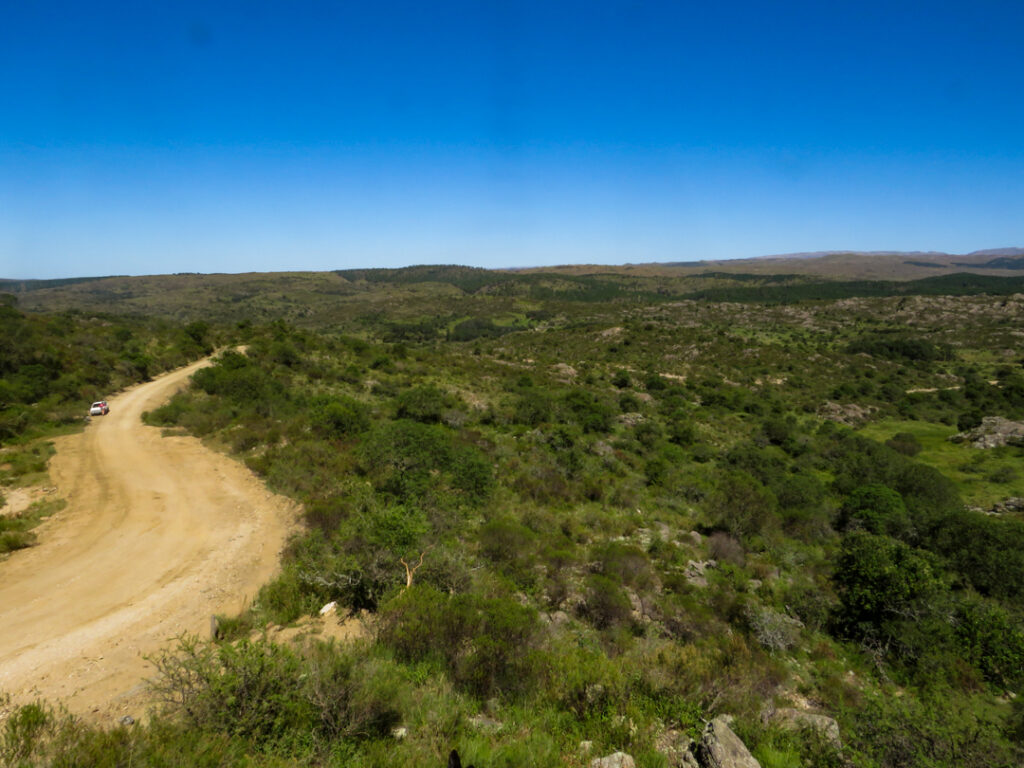 Río de los Sauces