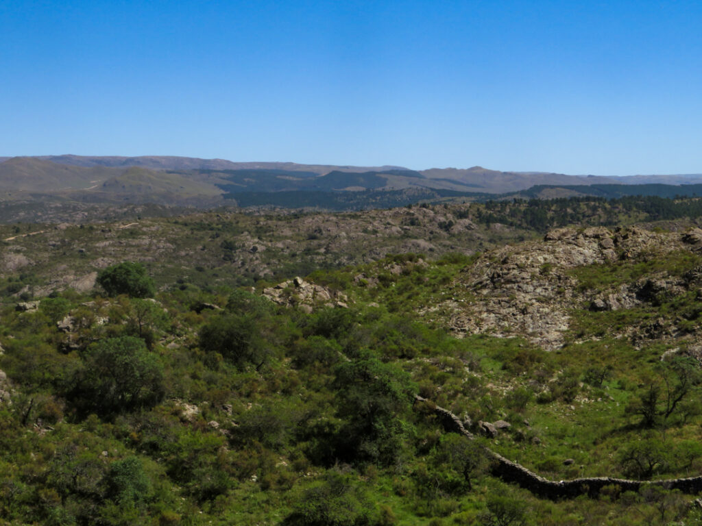 Río de los Sauces