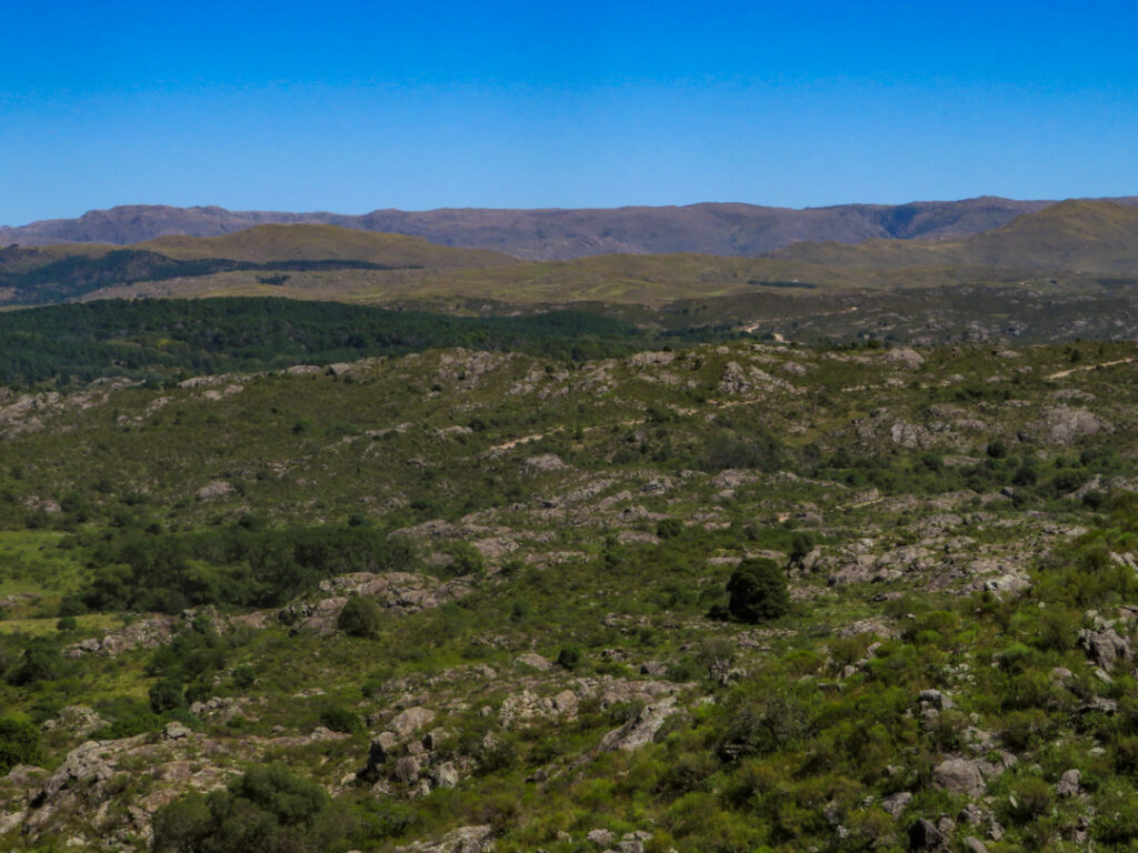 Río de los Sauces