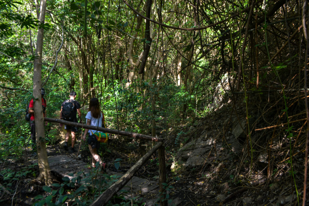 Quaras - Parque de Montaña