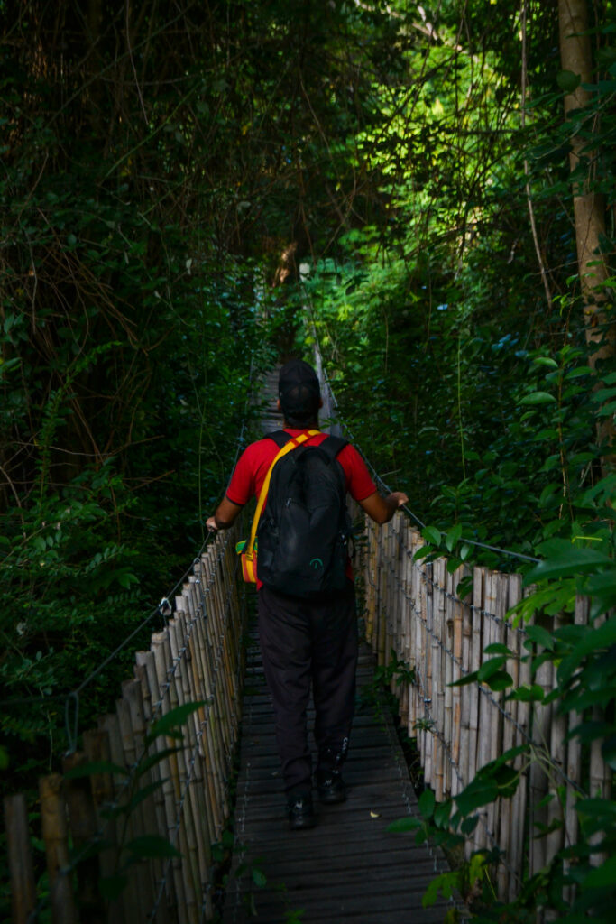 Quaras - Parque de Montaña