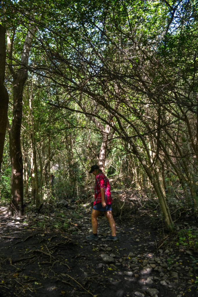 Quaras - Parque de Montaña