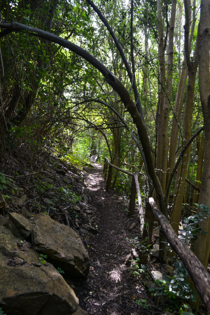 Quaras - Parque de Montaña