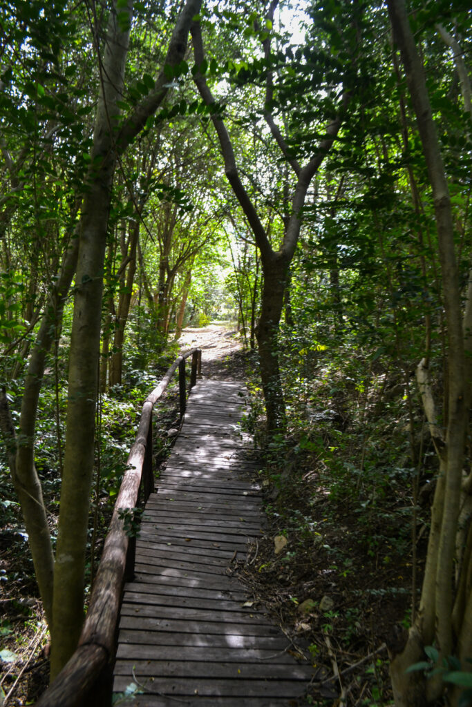 Quaras - Parque de Montaña