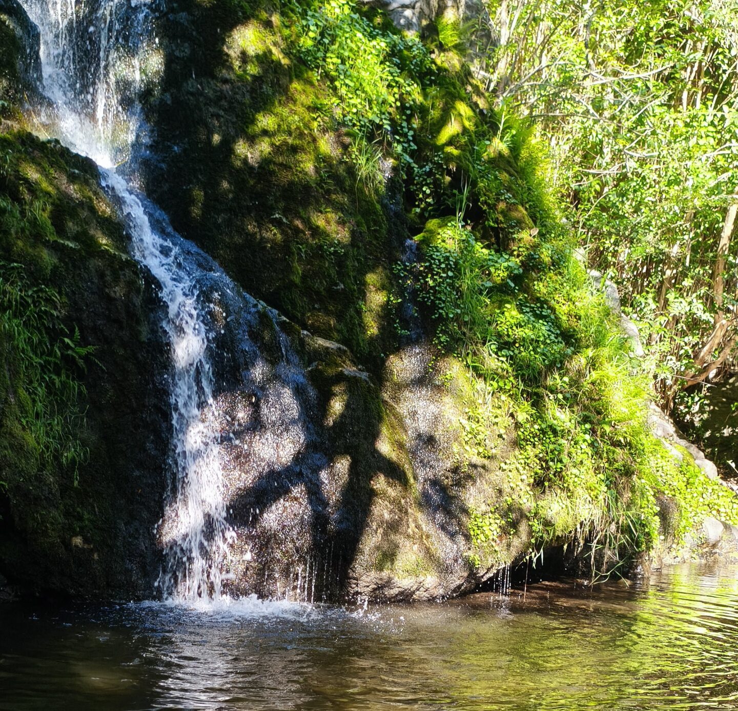 Santa Rosa de Calamuchita